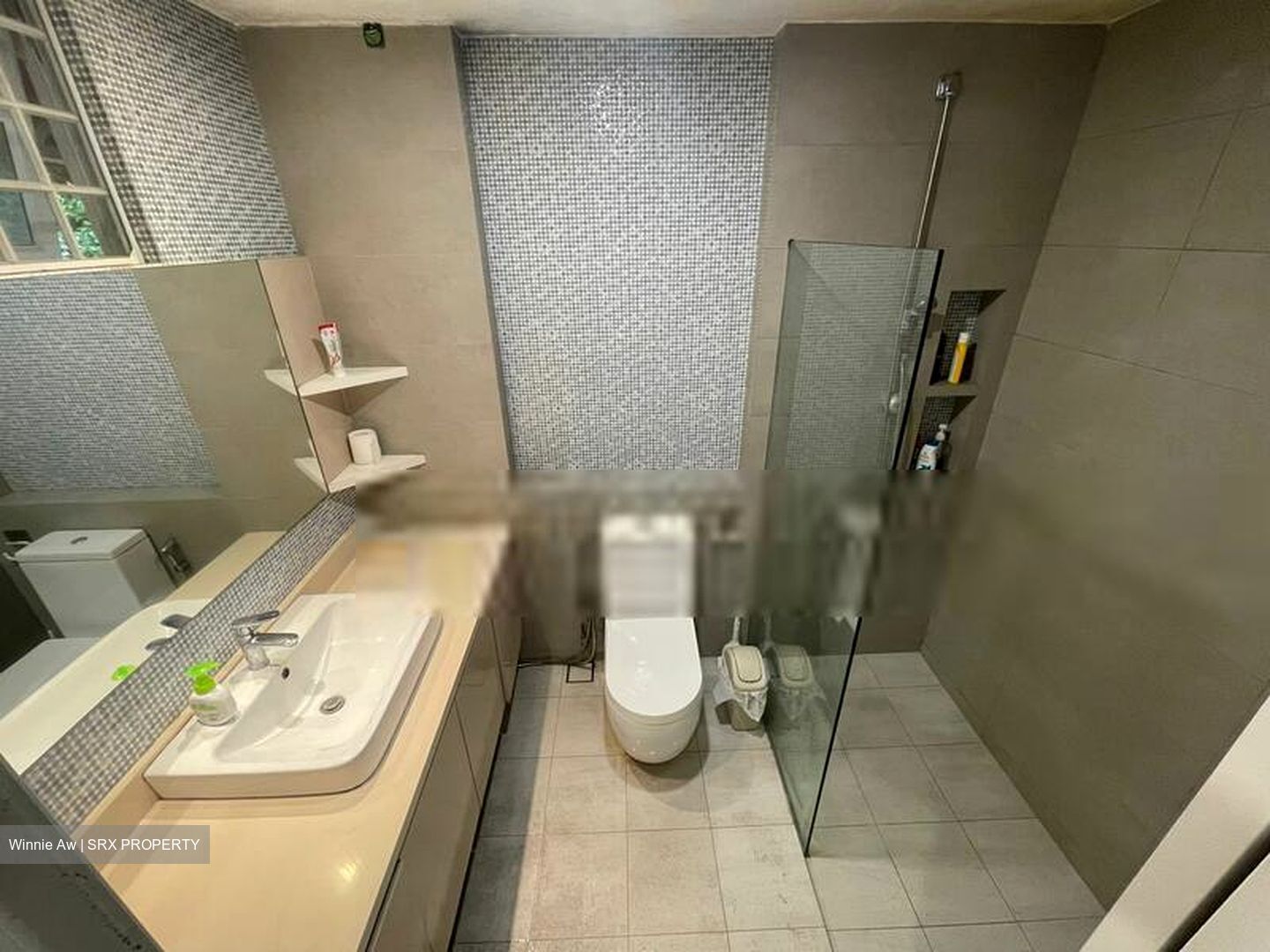 Pasir Panjang Lodge (D5), Apartment #565171271